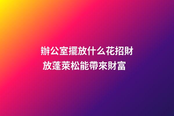 辦公室擺放什么花招財 放蓬萊松能帶來財富
